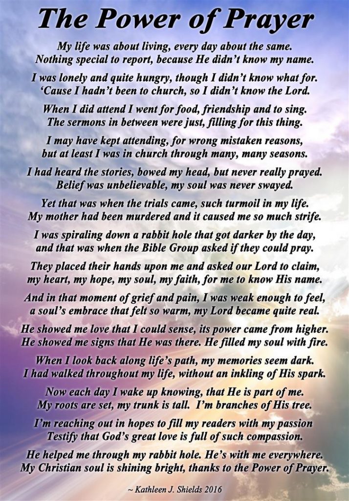 Award Winning Author Kathleen J Shields educational books