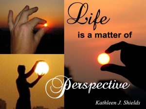 Award Winning Author Kathleen J Shields educational books