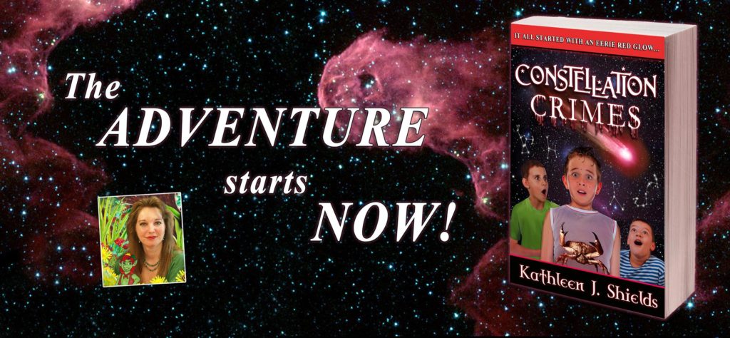 Award Winning Author Kathleen J Shields educational books