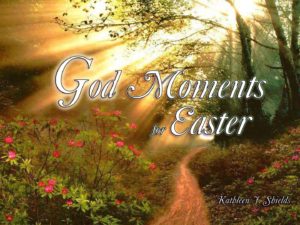 Award Winning Author Kathleen J Shields educational books