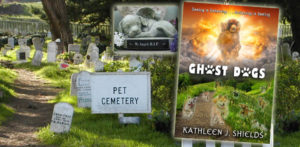 Ghost Dogs - The inspiration behind the book