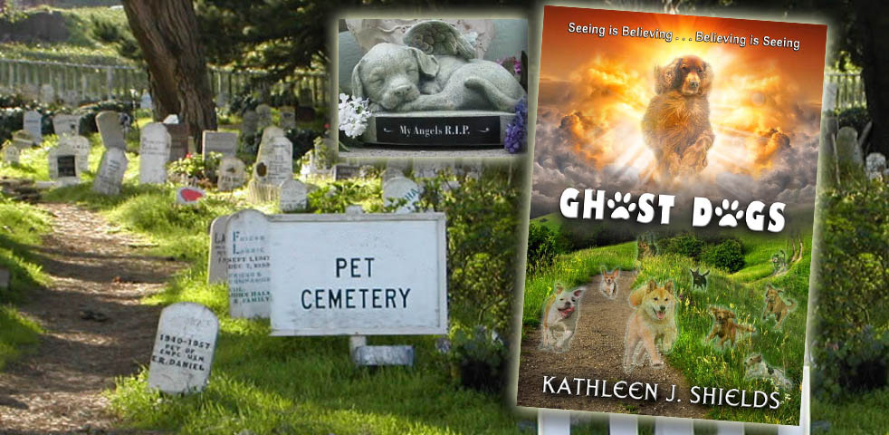 Ghost Dogs - The inspiration behind the book